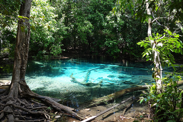 The Beauty The Emerald Pool Krabi