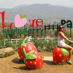Me in Love Pai Strawberry